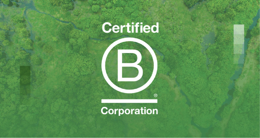重磅揭秘：B Corp认证背后的5大维度及认证全流程解析(图1)